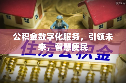 洞口公积金数字化服务，引领未来，智慧便民