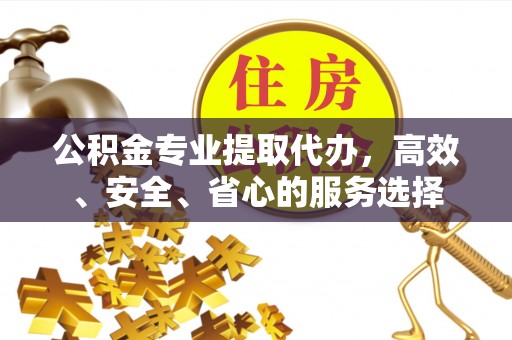 洞口公积金专业提取代办，高效、安全、省心的服务选择