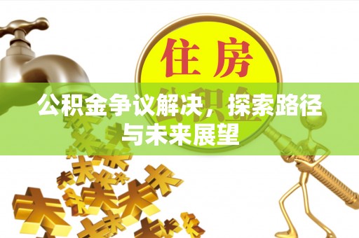 洞口公积金争议解决，探索路径与未来展望