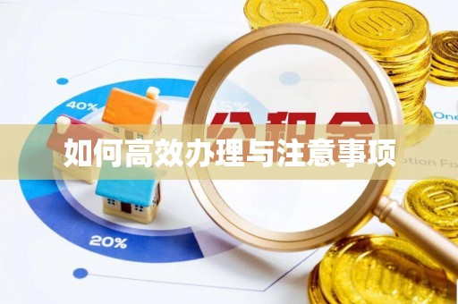 洞口如何高效办理与注意事项