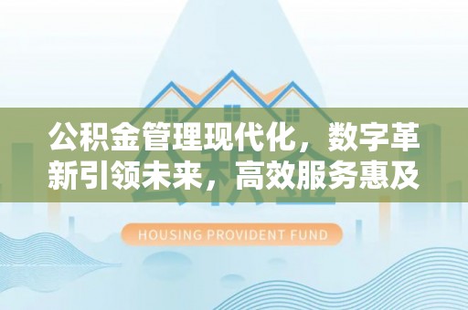 洞口公积金管理现代化，数字革新引领未来，高效服务惠及民生