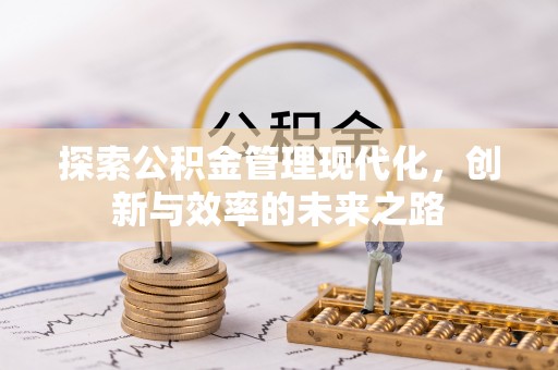 洞口探索公积金管理现代化，创新与效率的未来之路