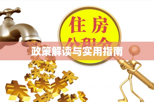 洞口政策解读与实用指南