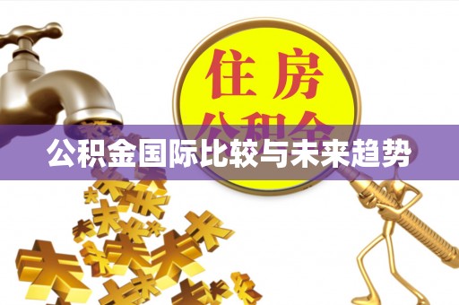 洞口公积金国际比较与未来趋势