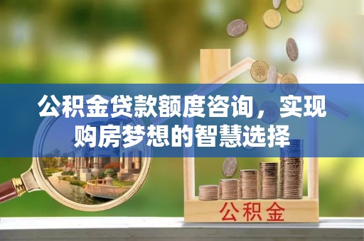 洞口公积金贷款额度咨询，实现购房梦想的智慧选择