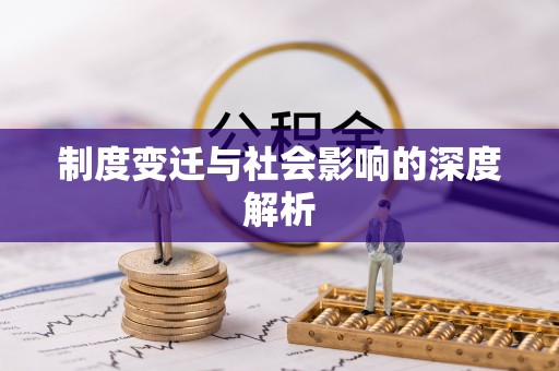 洞口制度变迁与社会影响的深度解析