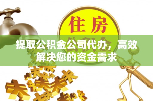 洞口提取公积金公司代办，高效解决您的资金需求