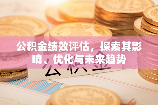 洞口公积金绩效评估，探索其影响、优化与未来趋势