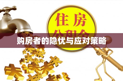 洞口购房者的隐忧与应对策略