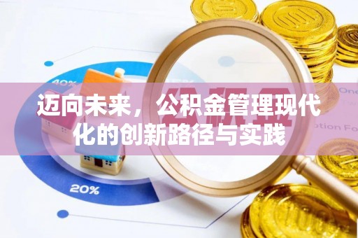 洞口迈向未来，公积金管理现代化的创新路径与实践