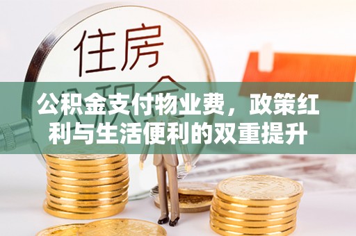 洞口公积金支付物业费，政策红利与生活便利的双重提升