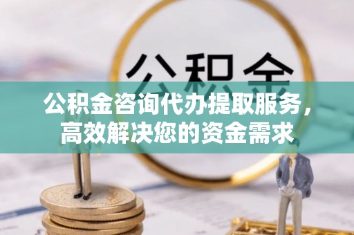 洞口公积金咨询代办提取服务，高效解决您的资金需求