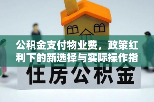 洞口公积金支付物业费，政策红利下的新选择与实际操作指南