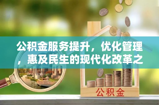 洞口公积金服务提升，优化管理，惠及民生的现代化改革之路