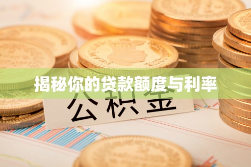 洞口揭秘你的贷款额度与利率