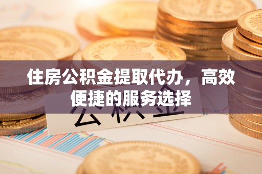 洞口住房公积金提取代办，高效便捷的服务选择