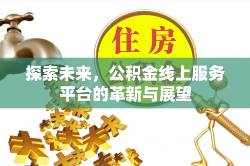 洞口探索未来，公积金线上服务平台的革新与展望