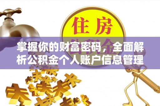 洞口掌握你的财富密码，全面解析公积金个人账户信息管理