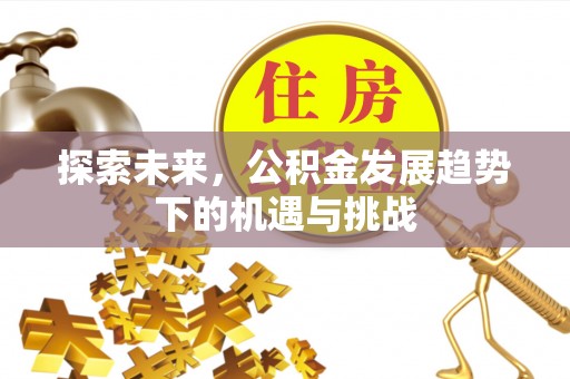 洞口探索未来，公积金发展趋势下的机遇与挑战