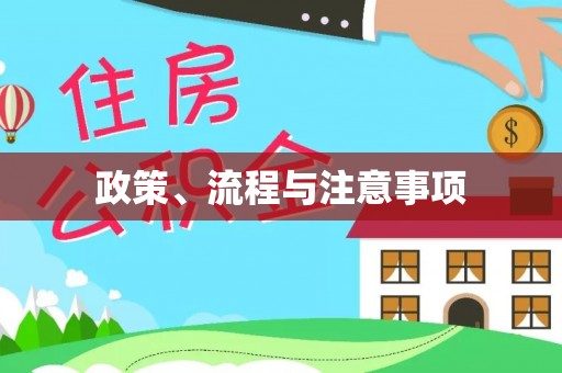 洞口政策、流程与注意事项