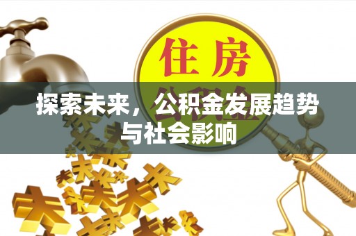 洞口探索未来，公积金发展趋势与社会影响