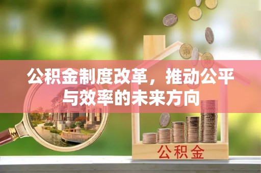 洞口公积金制度改革，推动公平与效率的未来方向