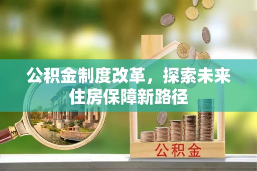 洞口公积金制度改革，探索未来住房保障新路径
