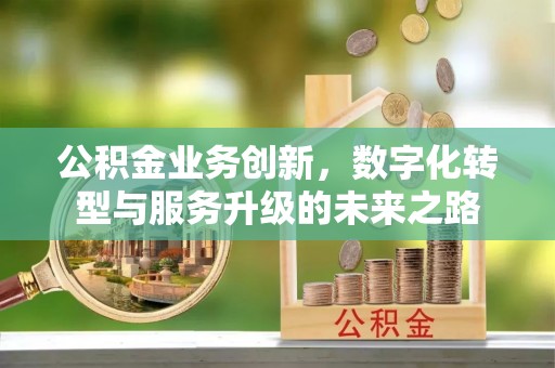 洞口公积金业务创新，数字化转型与服务升级的未来之路