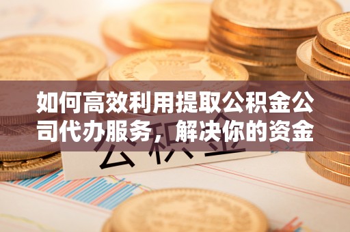 洞口如何高效利用提取公积金公司代办服务，解决你的资金难题
