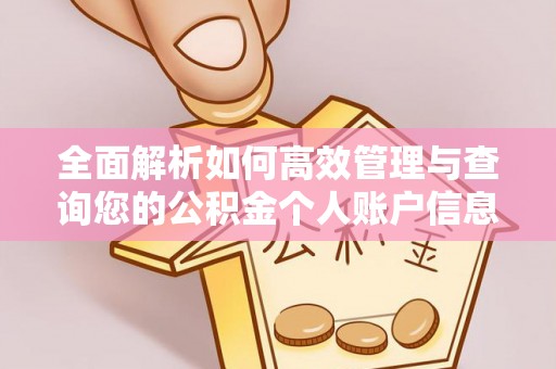 洞口全面解析如何高效管理与查询您的公积金个人账户信息