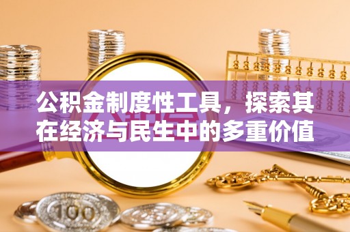 洞口公积金制度性工具，探索其在经济与民生中的多重价值