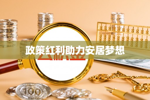洞口政策红利助力安居梦想