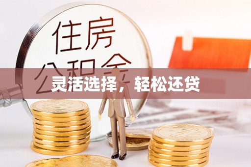 洞口灵活选择，轻松还贷