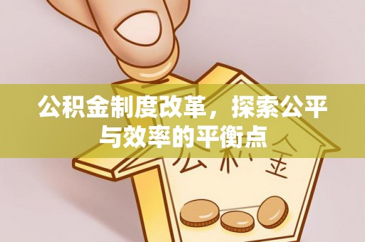 洞口公积金制度改革，探索公平与效率的平衡点