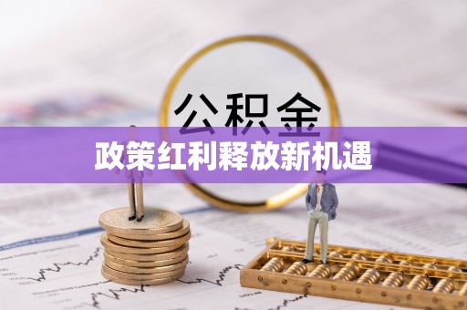 洞口政策红利释放新机遇
