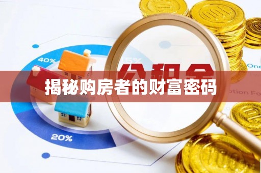 洞口揭秘购房者的财富密码
