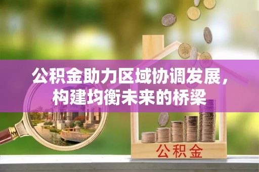 洞口公积金助力区域协调发展，构建均衡未来的桥梁