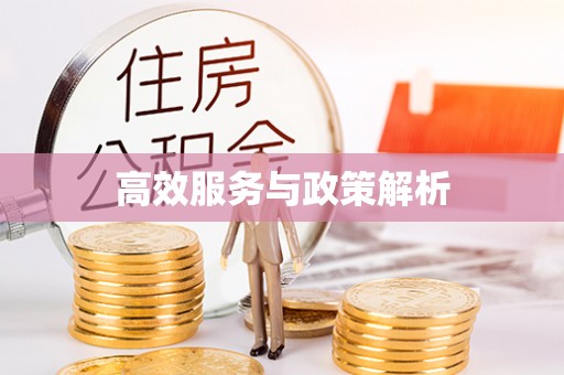 洞口高效服务与政策解析
