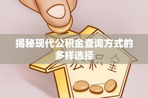 洞口揭秘现代公积金查询方式的多样选择