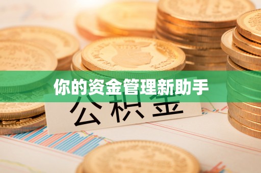 洞口你的资金管理新助手