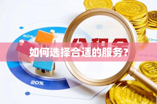 洞口如何选择合适的服务？
