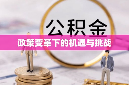 洞口政策变革下的机遇与挑战
