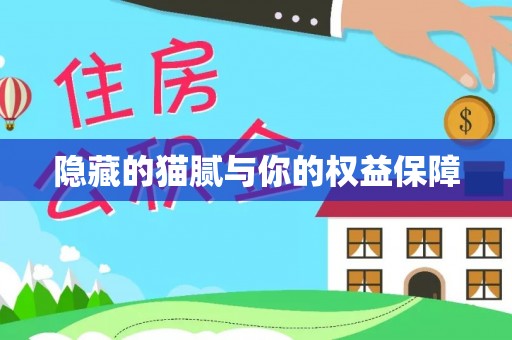 洞口隐藏的猫腻与你的权益保障