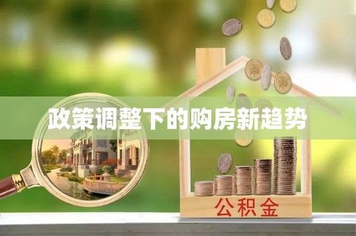 洞口政策调整下的购房新趋势