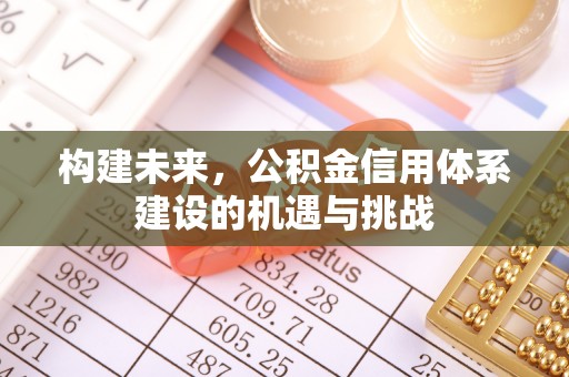 洞口构建未来，公积金信用体系建设的机遇与挑战