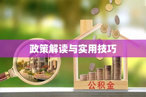 洞口政策解读与实用技巧