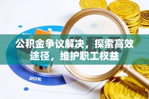 洞口公积金争议解决，探索高效途径，维护职工权益