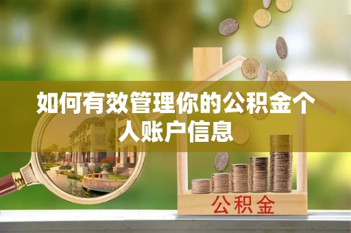 洞口如何有效管理你的公积金个人账户信息