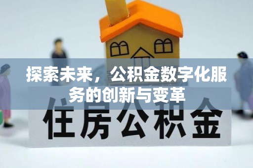 洞口探索未来，公积金数字化服务的创新与变革