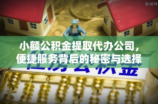 洞口小额公积金提取代办公司，便捷服务背后的秘密与选择指南